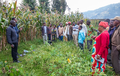 The researchers talk to farmers about AudioMoth